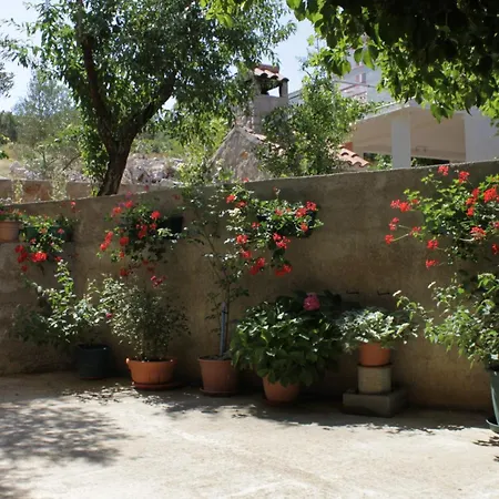 8152a Apartmán Sali