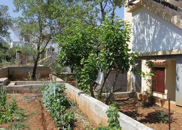 Apartmán 8152a Sali